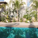 Bed and Breakfast Oliva Butik 3*