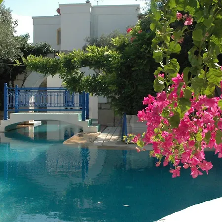 Oliva Butik Bed & Breakfast