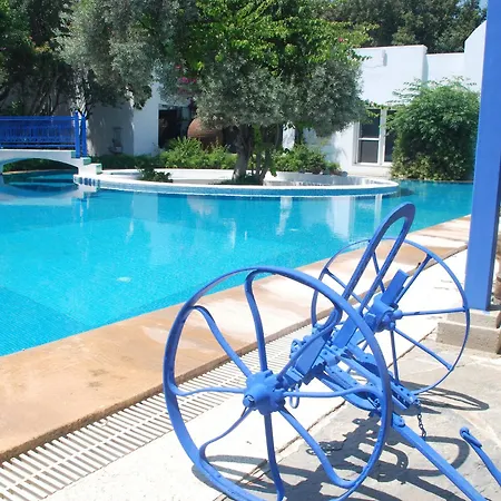 Bed & Breakfast Oliva Butik