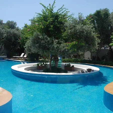 Oliva Butik Bed & Breakfast