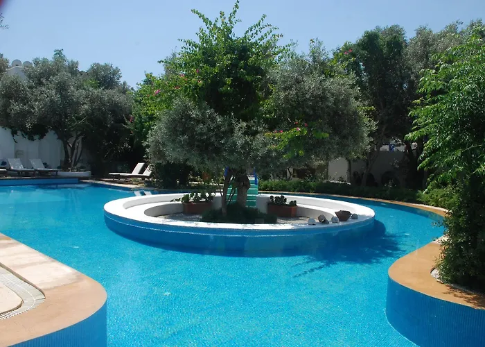 Oliva Butik Отель типа 